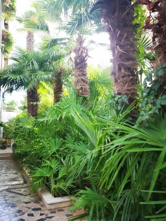 Apartments Aurora Porec Guest house